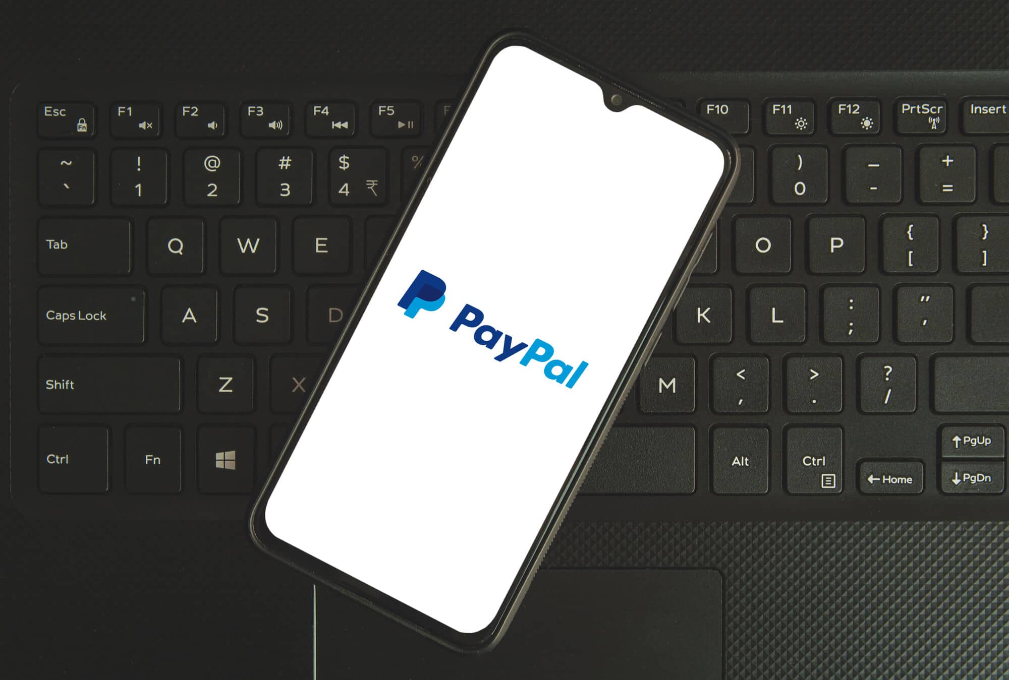 paypal phone