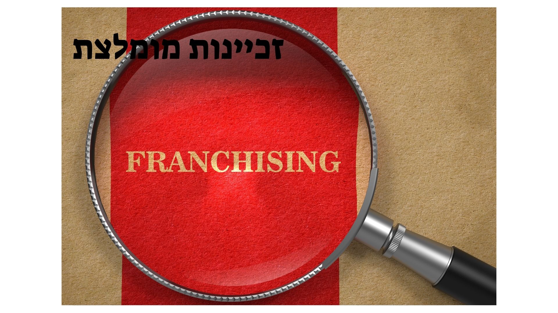 זכיינות מומלצת
