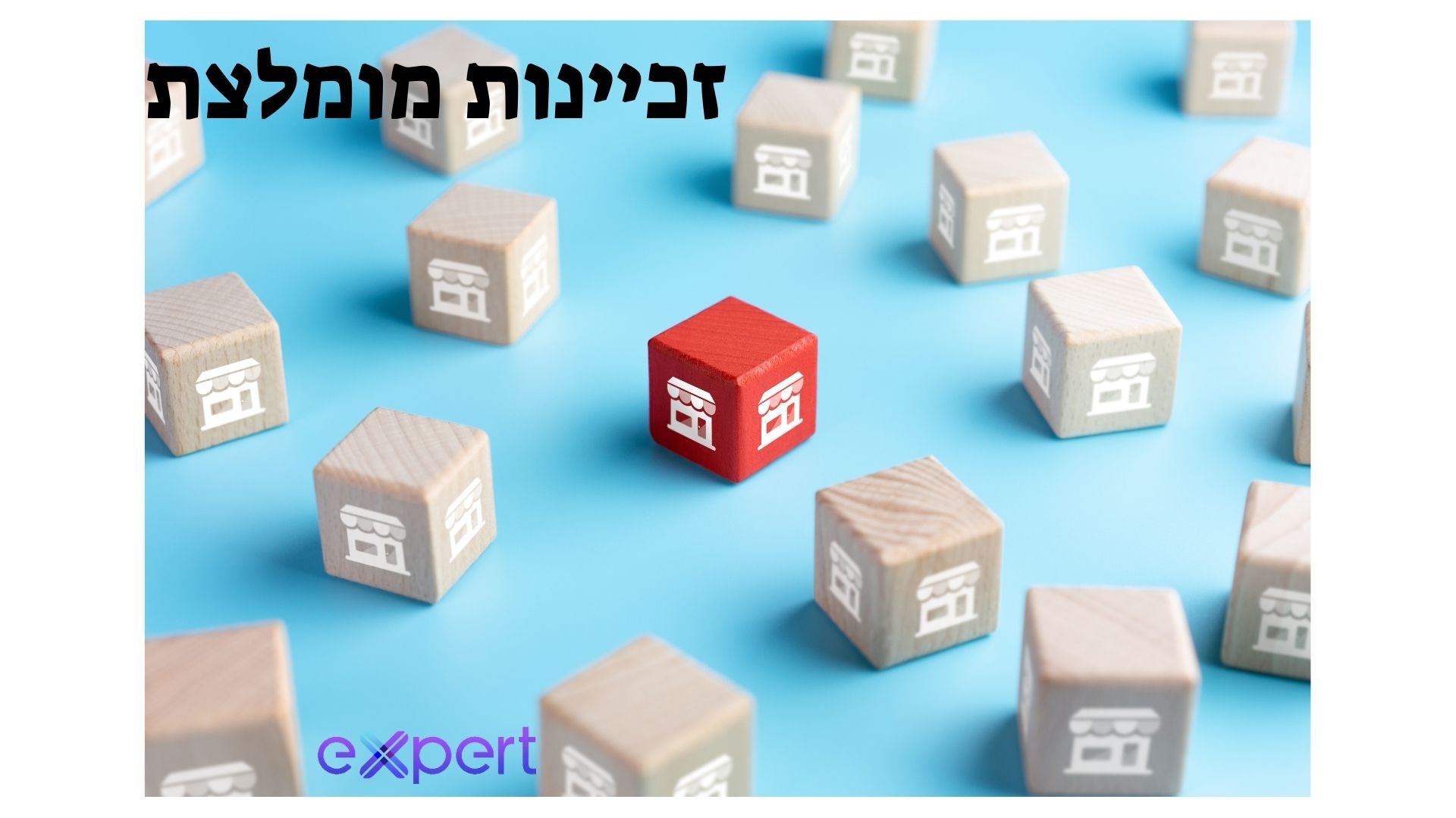 זכיינות מומלצת
